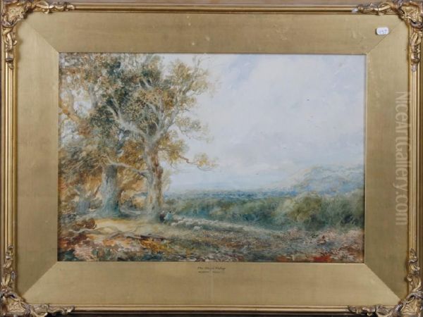 Clwyr Valley Oil Painting by Albert Pollitt