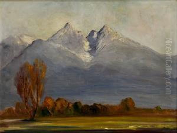 Pohlad Na Tatry Oil Painting by Karol Polonyi