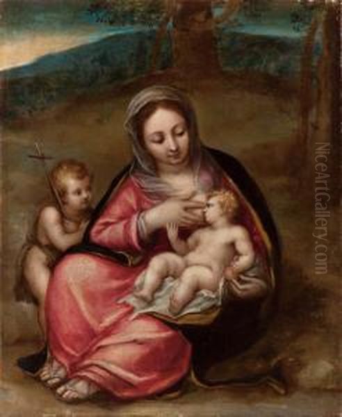 Madonna Col Bambino E San Giovannino Oil Painting by Pomponio Allegri