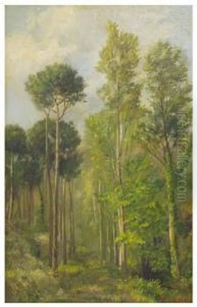 Paisaje De Bosque Oil Painting by Jaume Pons Marti