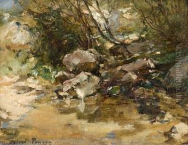 Source Sous Le Plan D'aups, Sainte Baume Oil Painting by Aime Ponson