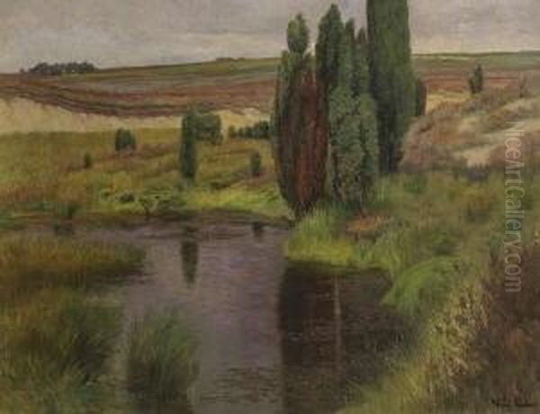 Moorlandschaft. Oil Painting by Fritz Pontini