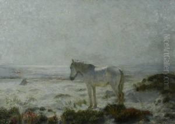 Sunrise Horse Onlong Island Sound Oil Painting by Henry Rankin Poore