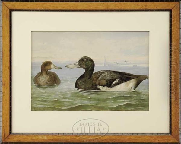 Duck Oil Painting by Alexander Pope