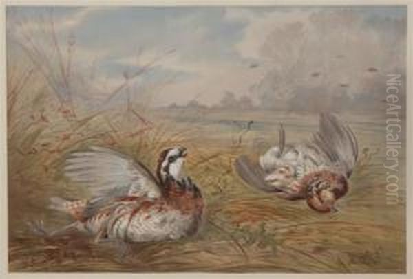 Grouse Oil Painting by Alexander Pope