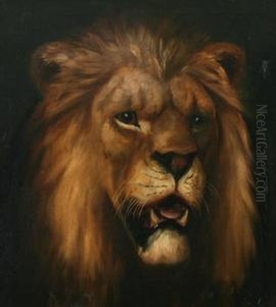 Lion's Head Oil Painting by Alexander Pope