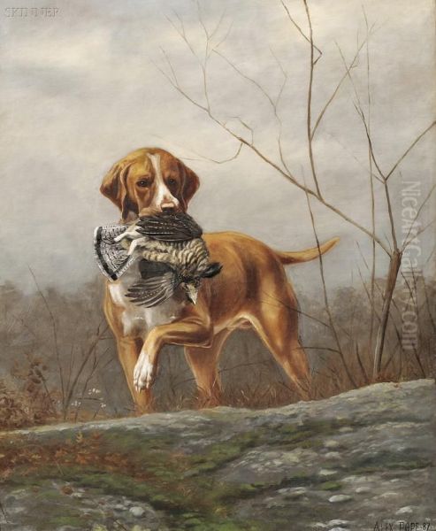 Hunting Dog With A Grouse Oil Painting by Alexander Pope