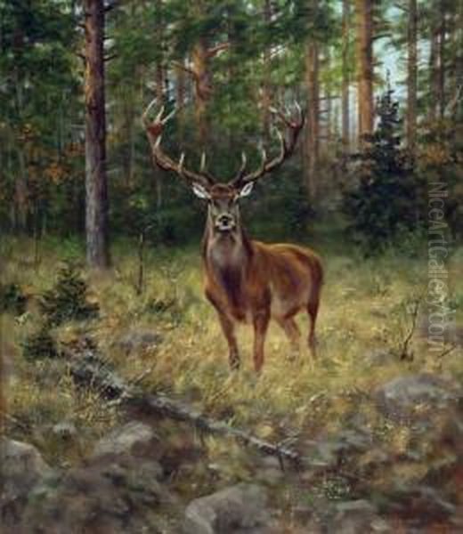 Stag In The Woods Oil Painting by Alexander Pope