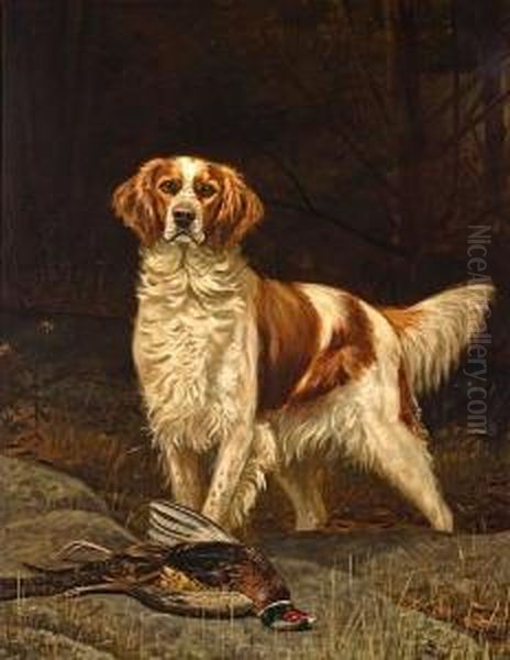 An English Setter In A Field Oil Painting by Alexander Pope