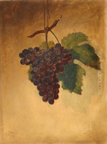 Still Life Of Hanging Grapes Oil Painting by Thomas Benjamin Pope