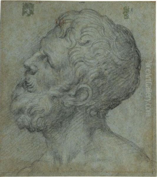 Head Of A Man, Looking Upwards To The Left Oil Painting by Giuseppe Salviati