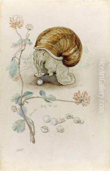 A Snail And Its Young Oil Painting by Helen Beatrix Potter