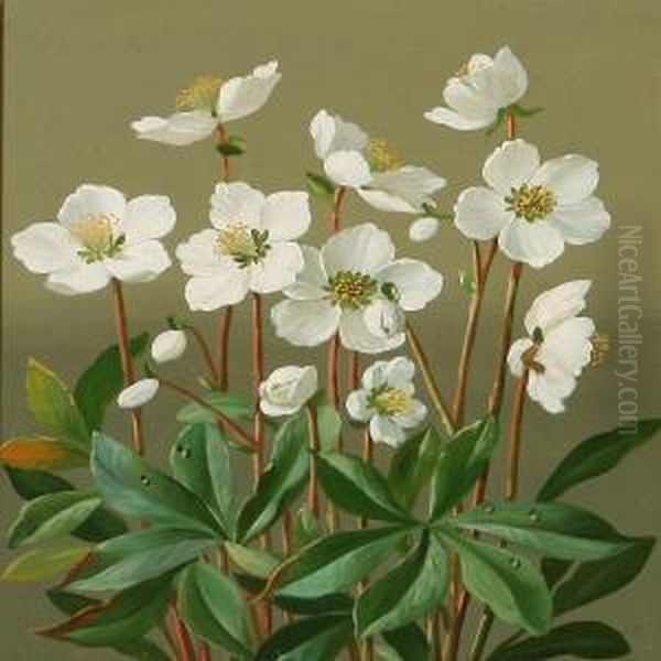 Christmas Roses Oil Painting by Anina Poulsen