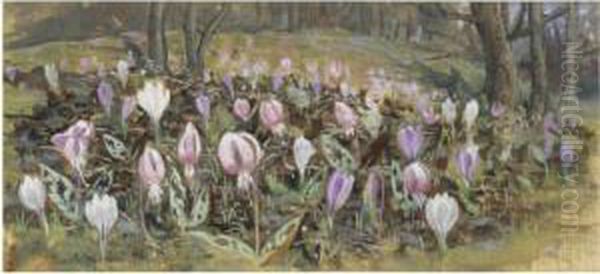 Crocuses On A Woodland Floor; Still Life Of Flowers Oil Painting by Alfred Powell