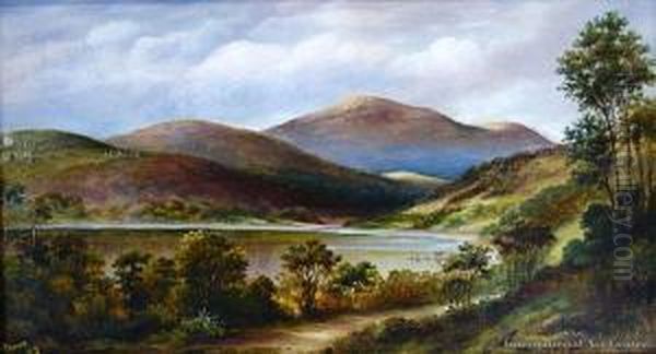 Pelichet Bay North Dunedin Oil Painting by Peter Power