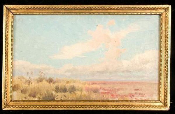 Vue De Camargue. Oil Painting by Ivan Pranishnikoff