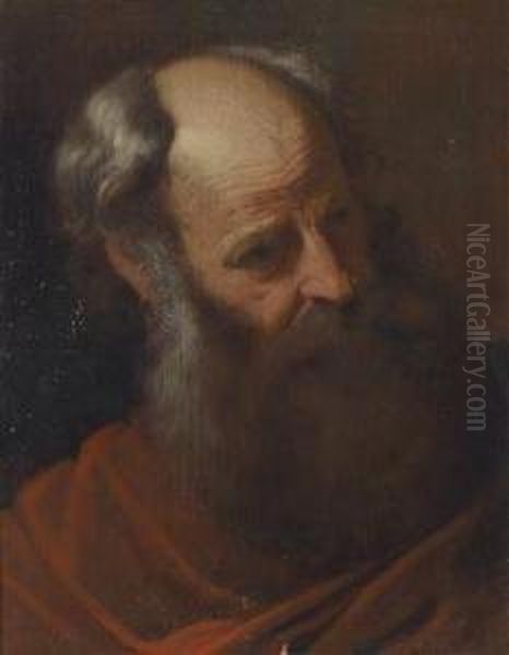 Head Of A Bearded Man Oil Painting by Francisco Preciado De La Vega