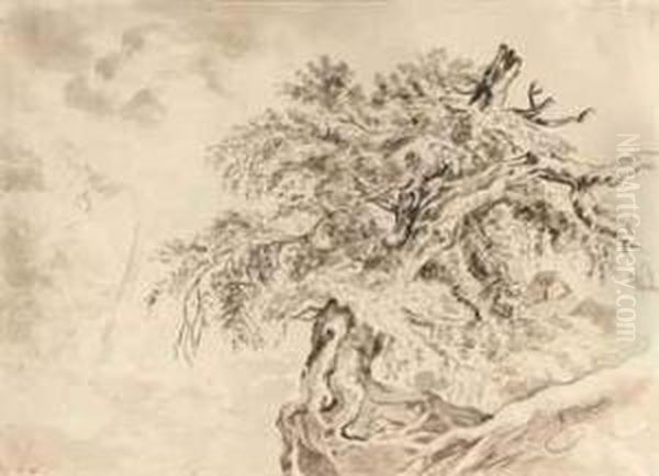 Study Of A Tree Oil Painting by Friedrich I Preller