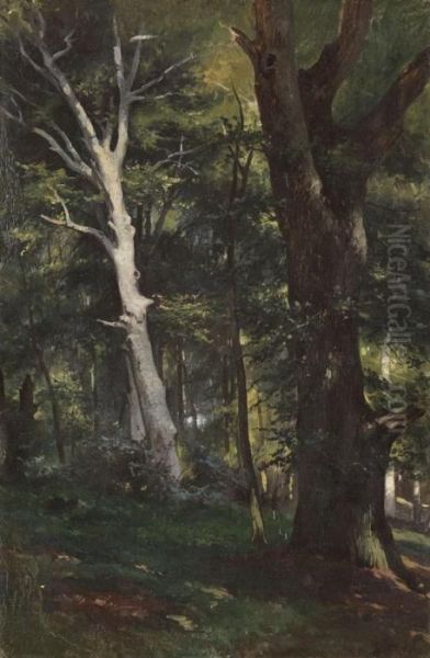 Von Der Ostsee: Buche Und Eiche Auf Dem Vilm Oil Painting by Friedrich Ii Preller