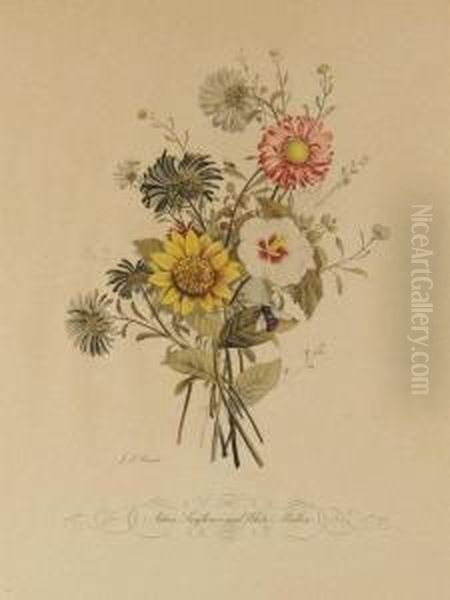 Two Floral Botanical Prints Oil Painting by Jean Louis, Le Jeune Prevost