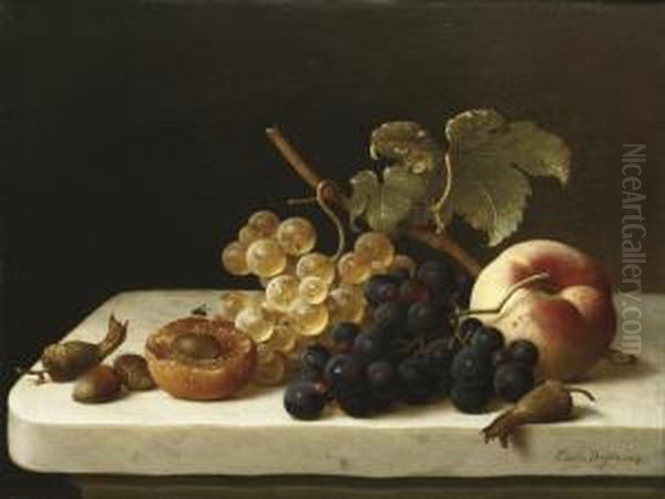 Grapes, Acorns, An Apricot And A Peach On A Marble Ledge Oil Painting by Emilie Preyer