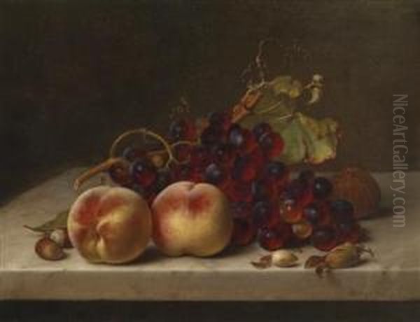 Still Life With Grapes And Hazelnuts Oil Painting by Johann Wilhelm Preyer