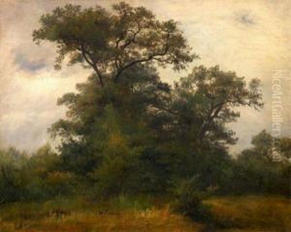 Paysage Oil Painting by Romain Etienne G. Prieur