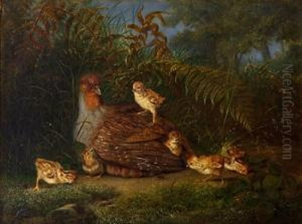 Rapphone Med Kyllinger 1862 Oil Painting by Christian August Printz