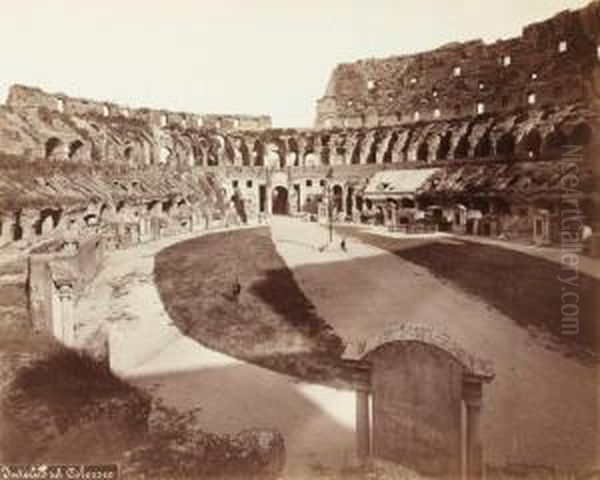 Interieur Du Colisee, Rome Oil Painting by Francesco Paolo Priolo