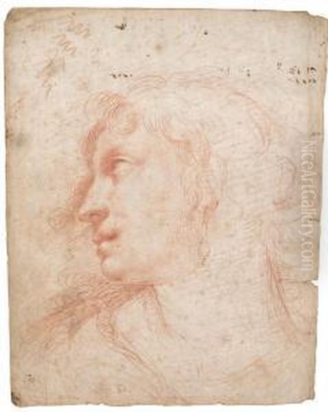 Study Of A Female Head, Seen In Profile, Wearing A Pearlearring Oil Painting by Ercole Ii Procaccini