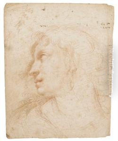 Head Of A Young Woman Wearing An Earring, In Profile To The Left Oil Painting by Ercole Ii Procaccini