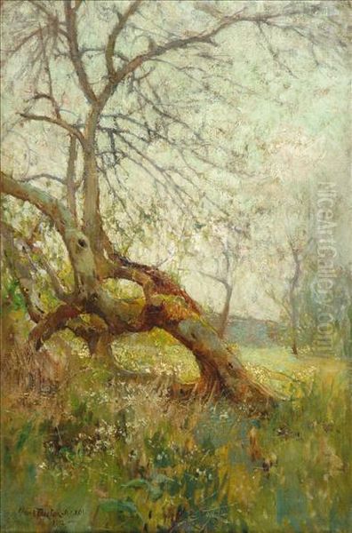 Study Of Trees Oil Painting by Adam Edwin Proctor