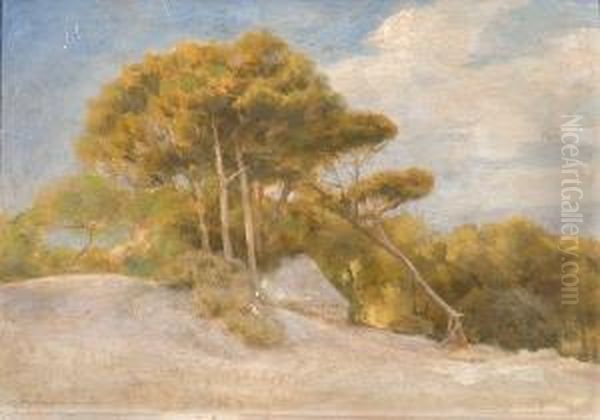 Slope With Pine Trees Oil Painting by Georgios Prokopiou