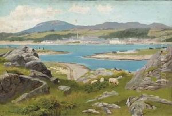 Island Views Oil Painting by Thomas James Purchas