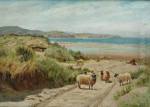 Sheep In The Dunes by Thomas James Purchas