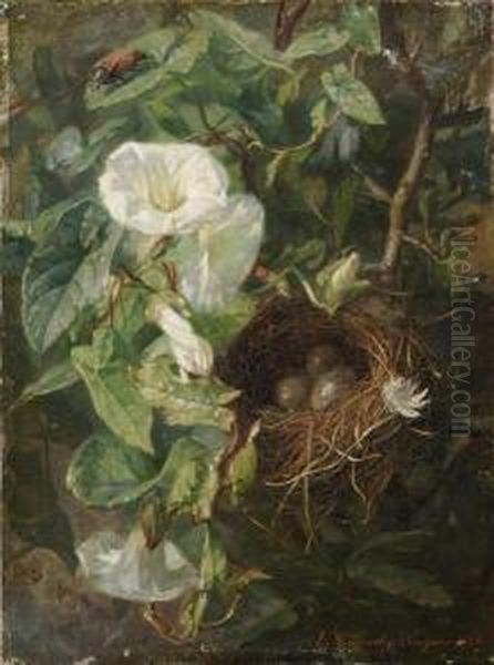 Nid D'oiseau Dans Des Liserons Oil Painting by Elise Puyroche-Wagner