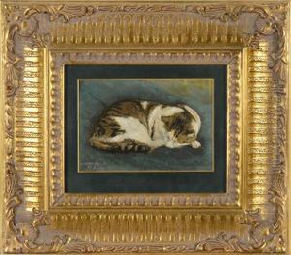 A Resting Cat Oil Painting by Howard Pyle