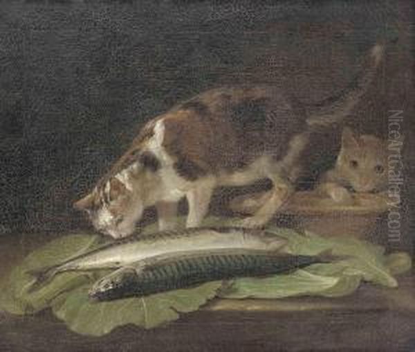 Two Cats On A Table With An Earthenware Bowl And Two Fish Oil Painting by Martin Ferdinand Quadal