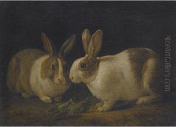 Two Dutch Rabbits With A Cabbage Leaf Oil Painting by Martin Ferdinand Quadal