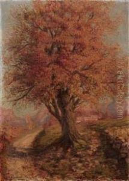 Paesaggio Con Albero Oil Painting by Alfonso Quarantelli