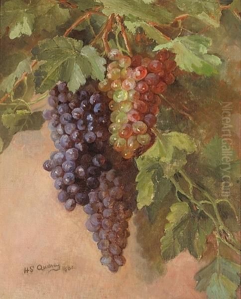 Grapevine Oil Painting by Henrietta S. Quincy