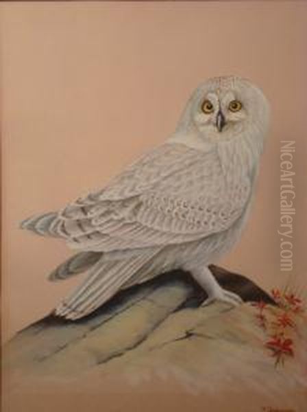 A Study Of A Snowy Owl Oil Painting by William J. Quinlan