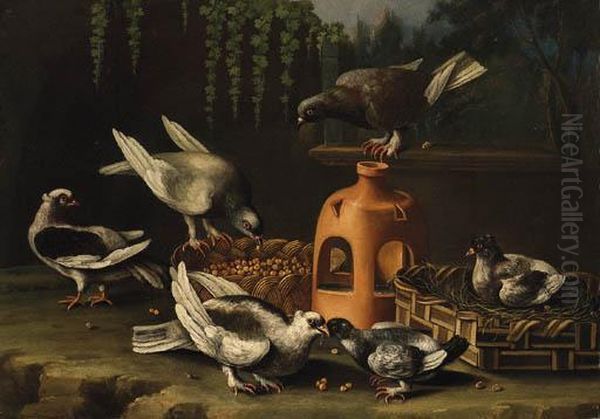 Pigeons Feeding From A Basket By A Stoneware Vase In A Garden Oil Painting by Giovanni Quinsa