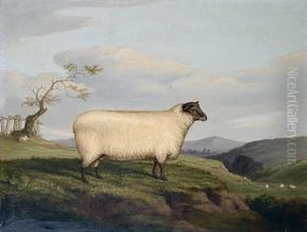 A Black Faced Sheep In Landscape Oil Painting by J. Quinton