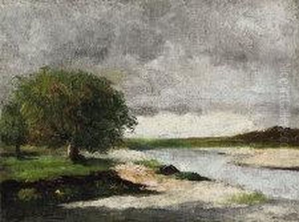 Lungo Il Fiume Oil Painting by Domenico Rabioglio