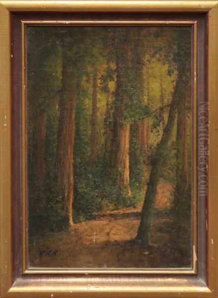 Redwoods Oil Painting by Thomas Henry Rabjohn