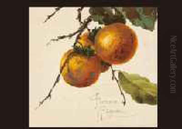 Persimmon Oil Painting by Eleonora, Tama Ragusa