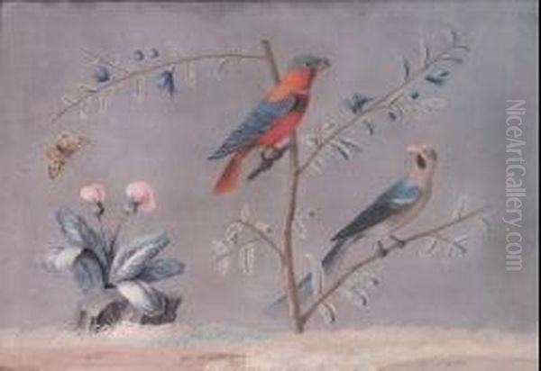 Due Pappagalli E Una Farfalla In Volo Oil Painting by Carlo Antonio Raineri