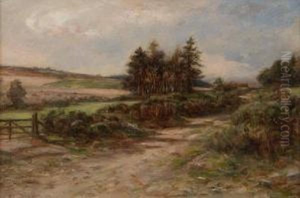 An Angus Pathway Oil Painting by Allan Ii Ramsay