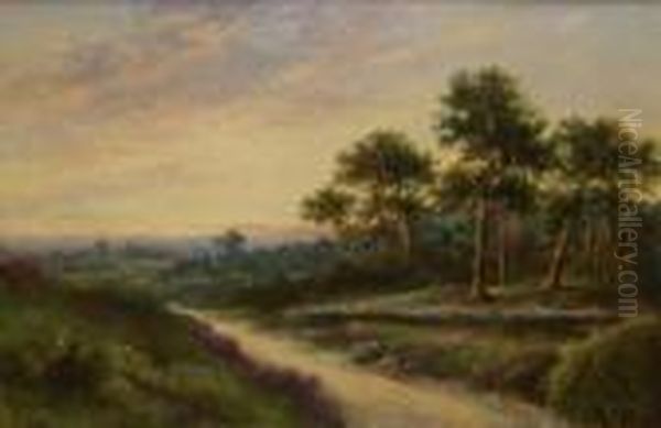 Woodland Scene At Sunset Oil Painting by Aubrey Ramus